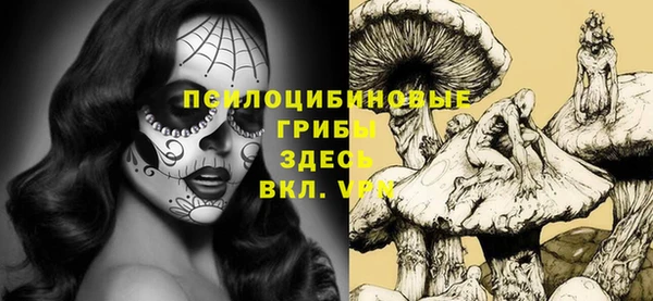 дурь Абаза